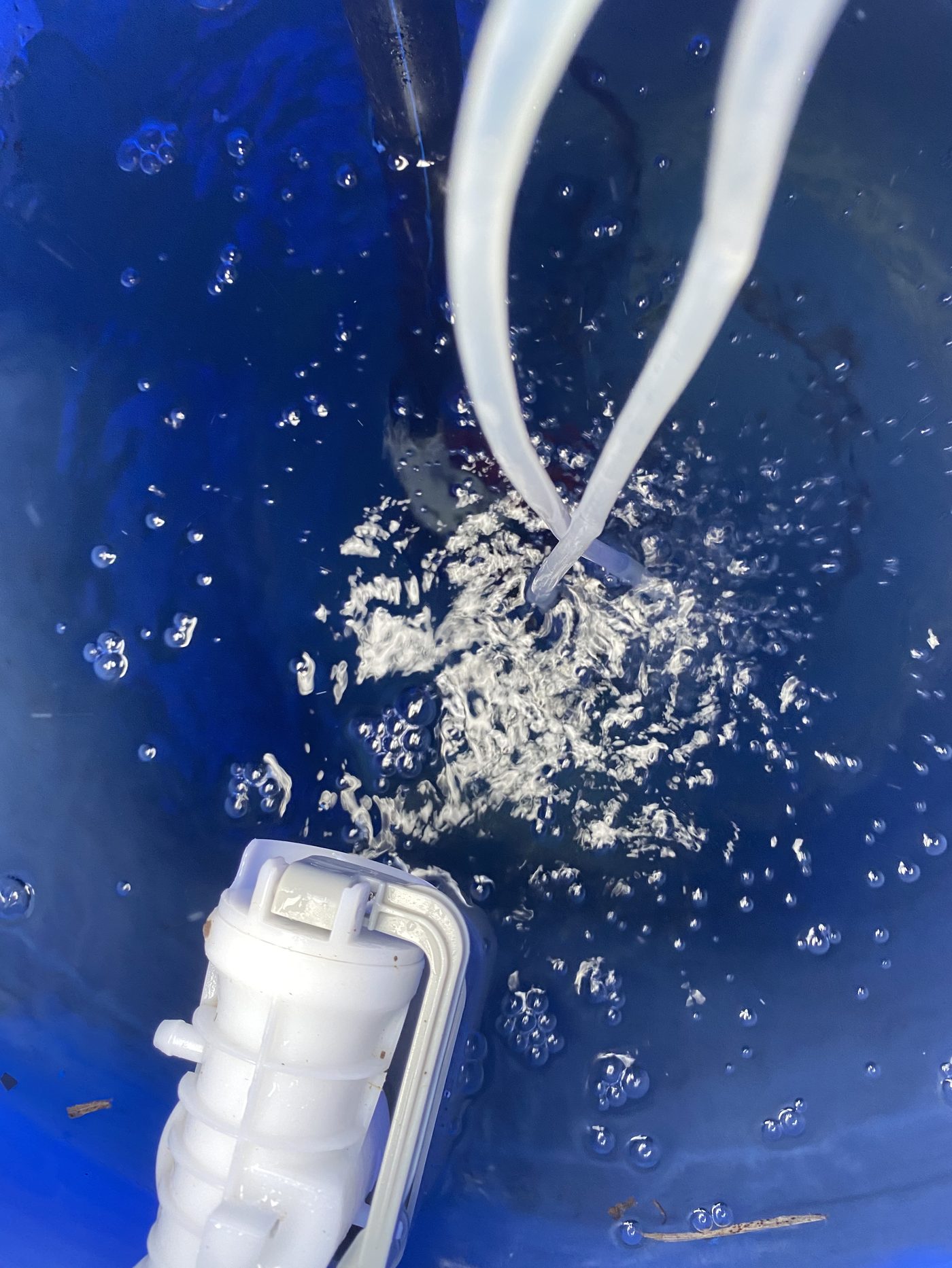 Looking down into the blue reservoir barrel: a stream of fine bubbles rising from an air stone on the bottom, next to the white float valve